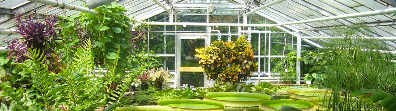 Socar Polymer Results in 2020