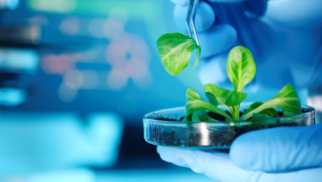 Material Safety Data Sheets